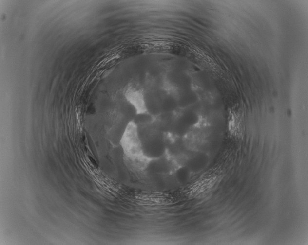 X0000086920819200704231303
