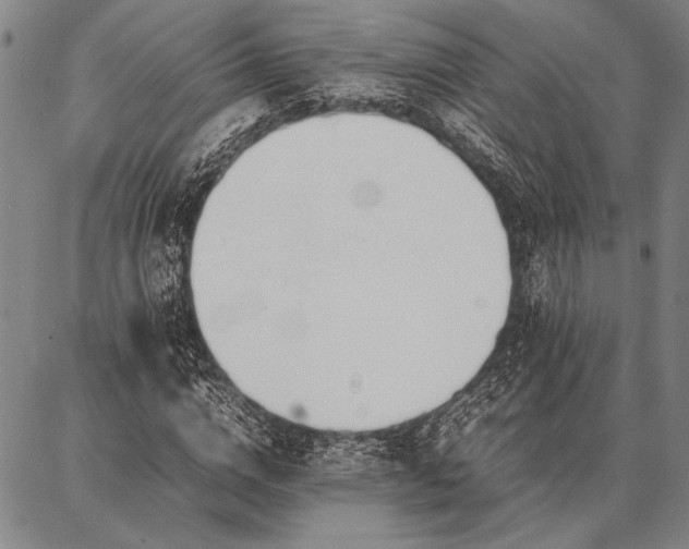 X0000086920824200704231303