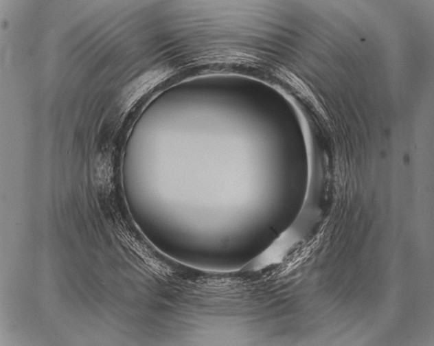 X0000086920826200704231303