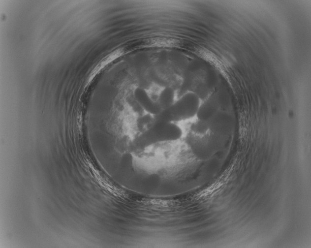 X0000086920827200704231303