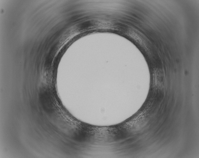 X0000086920828200704231303