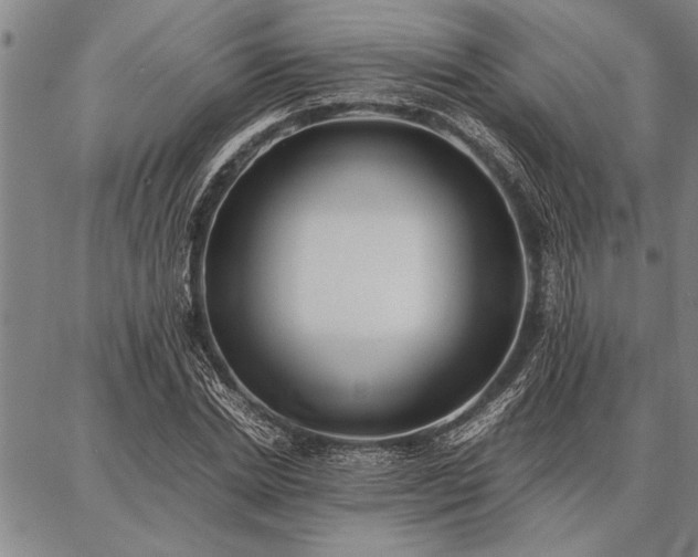 X0000086920830200704231303