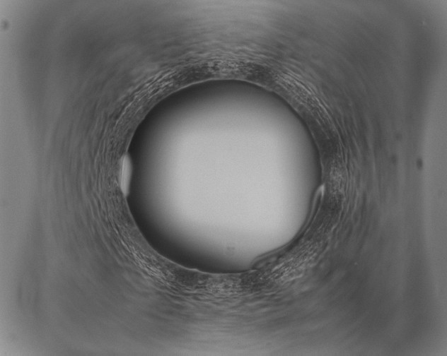X0000086920865200704231303