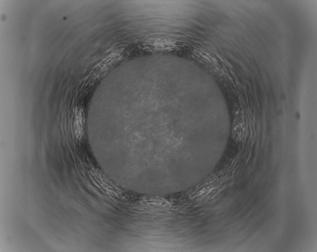 X0000086920866200704231303