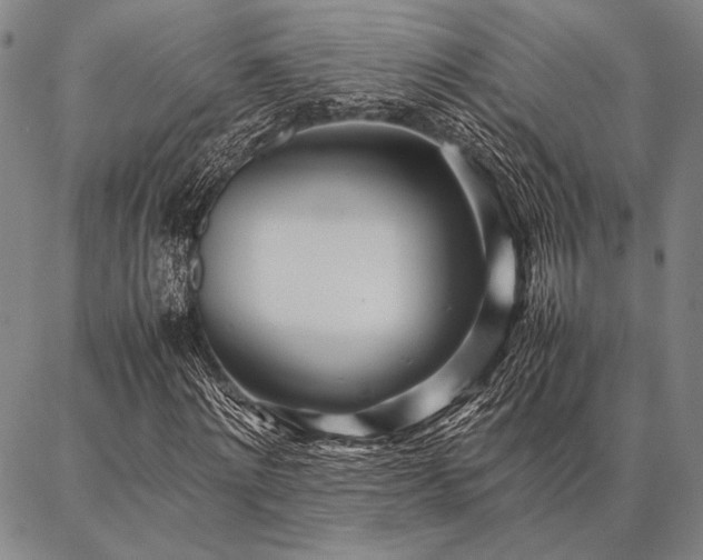 X0000086920868200704231303