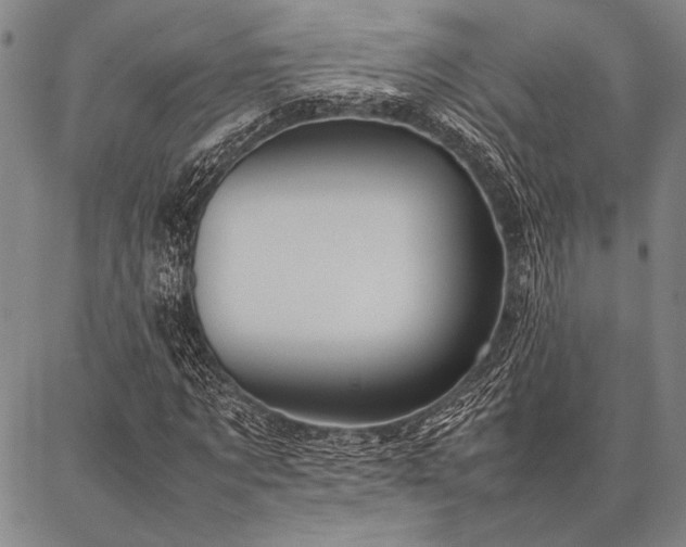X0000086920869200704231303