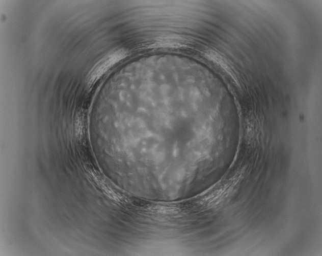 X0000086920874200704231302