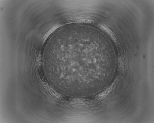 X0000086920875200704231302