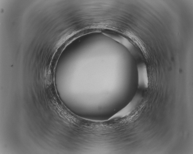 X0000086920876200704231302
