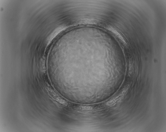 X0000086920878200704231302