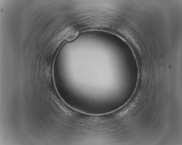 X0000086920881200704231302
