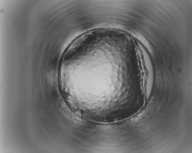 X0000086920896200704231302