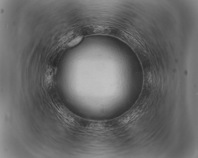 X0000086920914200704231301