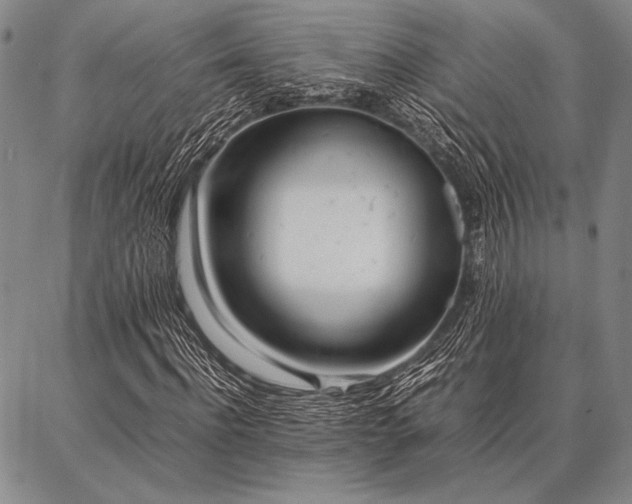 X0000086920916200704231301