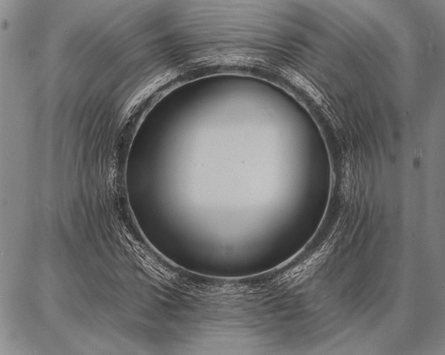 X0000086920922200704231301