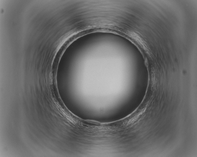 X0000086920924200704231301
