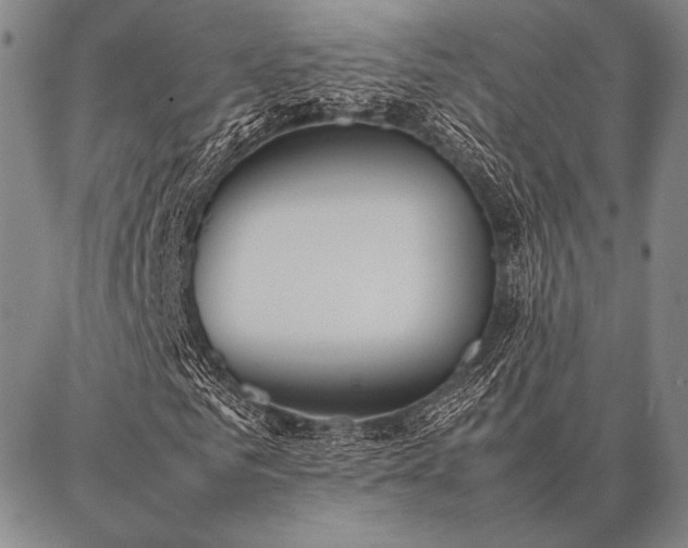 X0000086920961200704231301