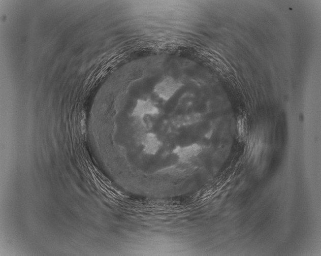 X0000086920963200704231301
