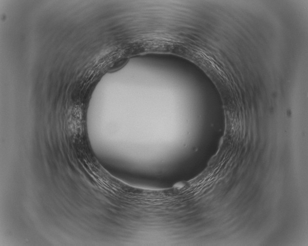 X0000086920964200704231301