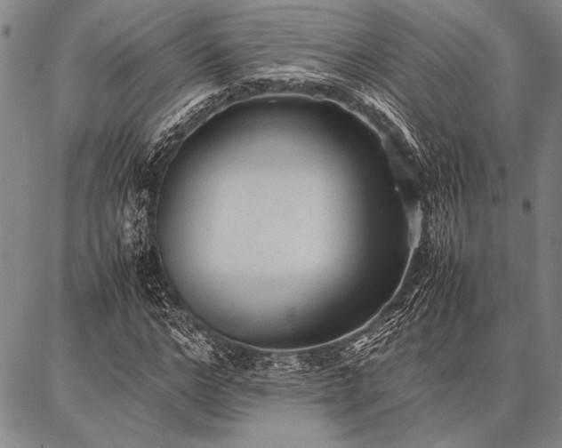 X0000086920968200704231301