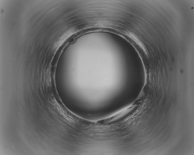X0000086920972200704231301