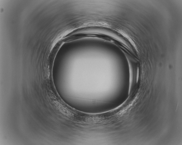 X0000086920973200704231301