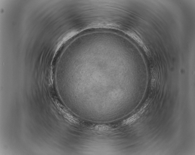 X0000086920974200704231301