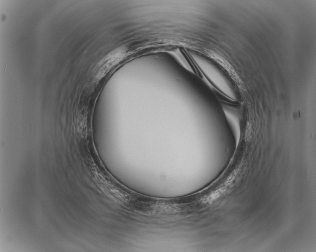 X0000086920977200704231301