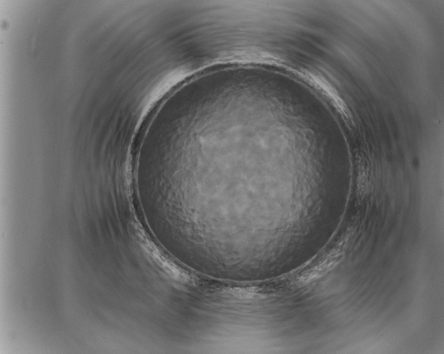 X0000086920990200704231301