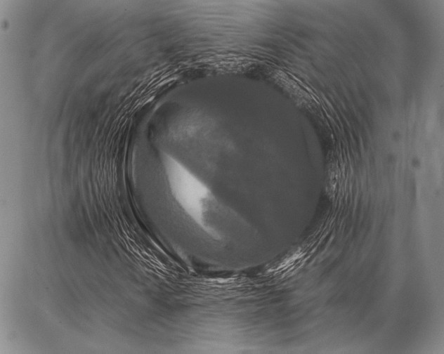 X0000086921010200704231300