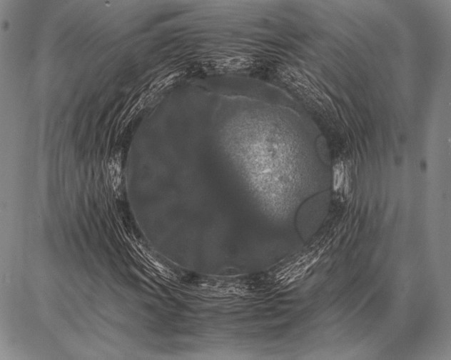 X0000086921011200704231300