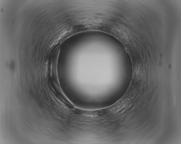 X0000086921012200704231300