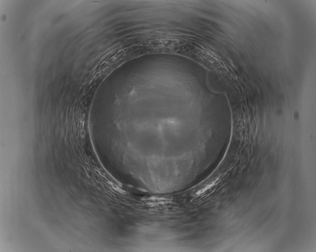 X0000086921013200704231300