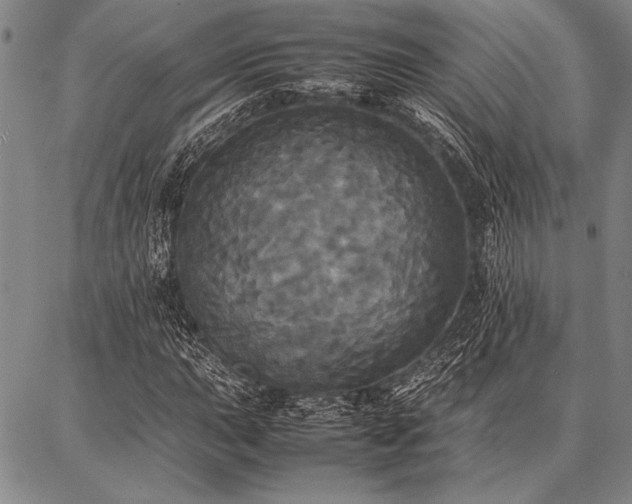 X0000086921015200704231300