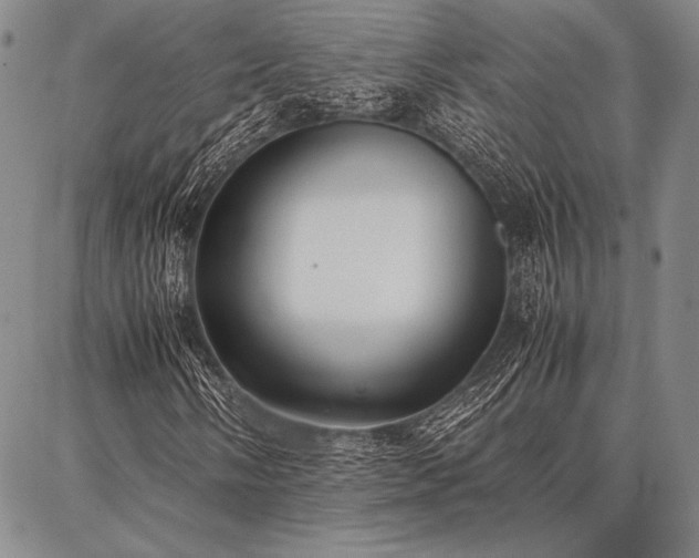 X0000086921058200704231259