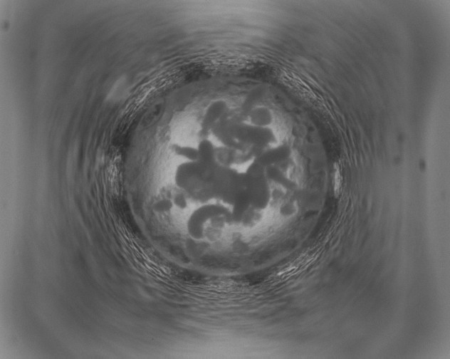 X0000086921059200704231259