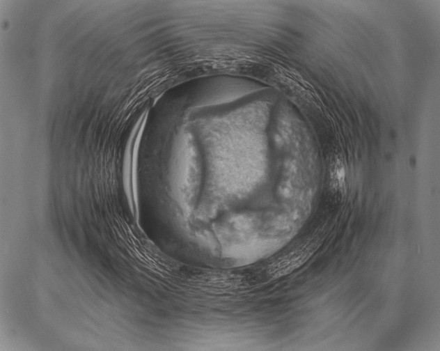 X0000086921060200704231259