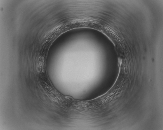 X0000086921062200704231259