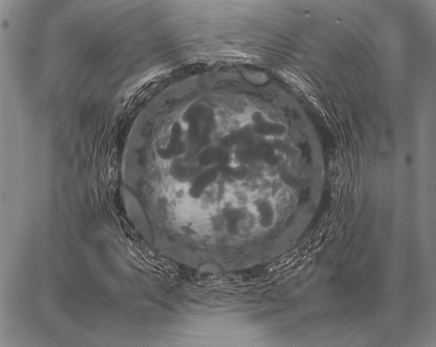 X0000086921063200704231259
