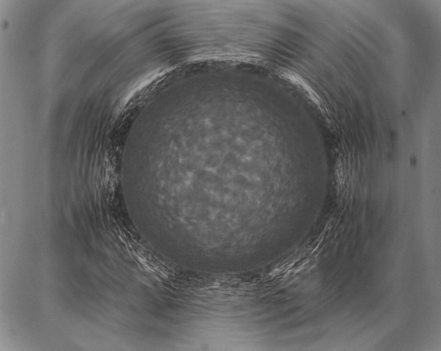 X0000086921064200704231259