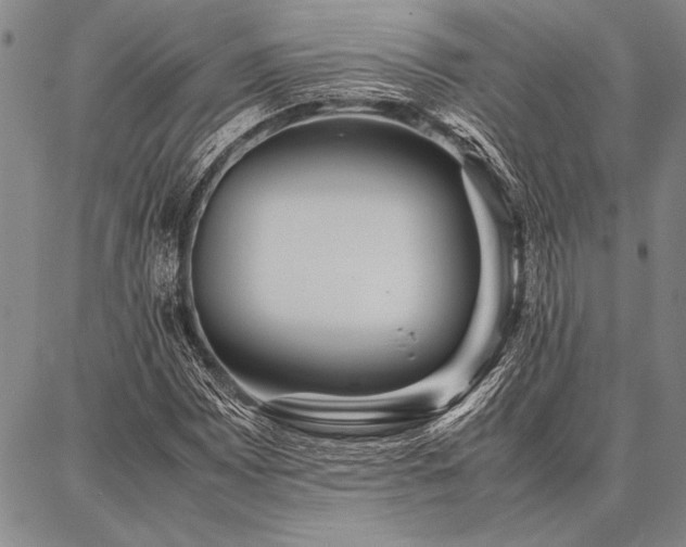 X0000086921065200704231259
