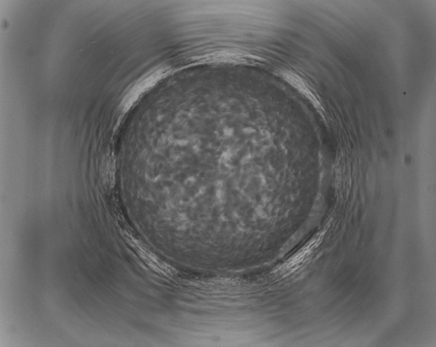 X0000086921067200704231259