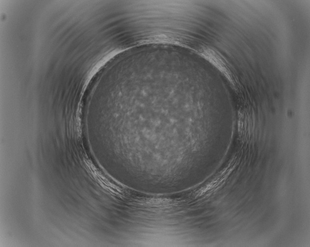 X0000086921068200704231259