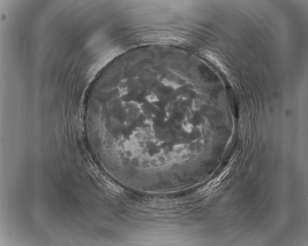 X0000086921071200704231259