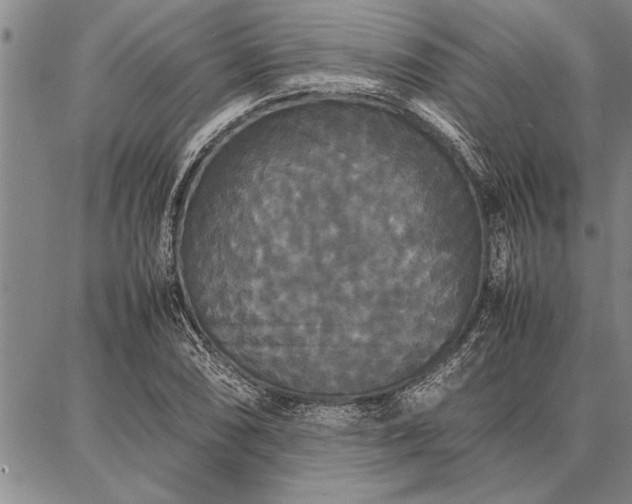 X0000086921074200704231259
