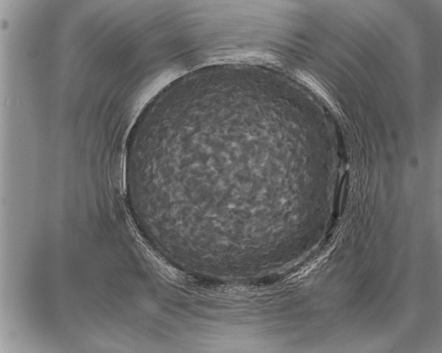 X0000086921079200704231259