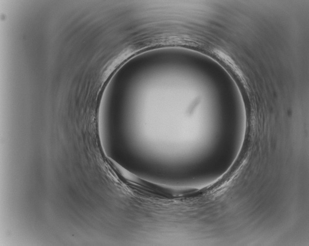 X0000086921089200704231259