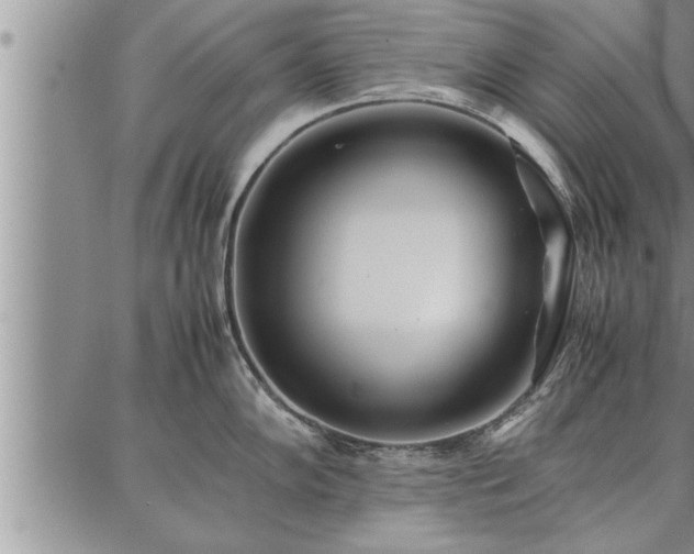 X0000086921102200704231259