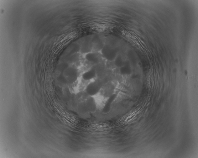 X0000086921105200704231258