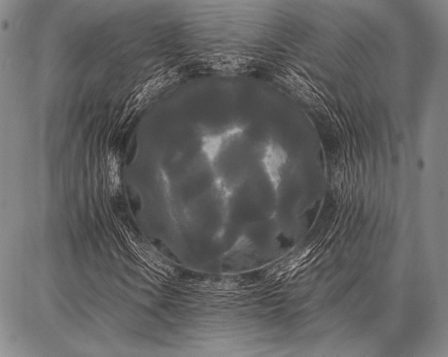 X0000086921106200704231258